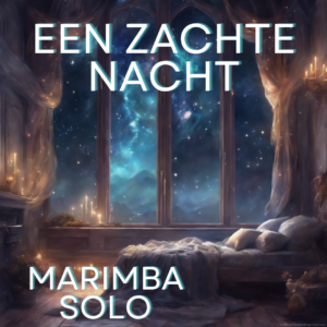 Een zachte nacht